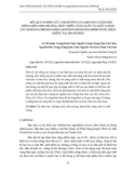 Kết quả nghiên cứu ảnh hưởng của khoảng cách gieo trồng đến sinh trưởng, phát triển, năng suất và chất lượng cây Sâm báo (Abelmoschus sagittifolius (Kurz) Merr) được chọn giống tại Thanh Hóa