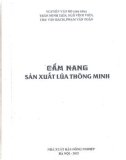 Hướng dẫn sản xuất lúa thông minh