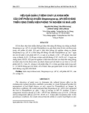 Hiệu quả quản lý bệnh cháy lá khoai môn của chế phẩm xạ khuẩn Streptomyces sp. AP4 đối kháng triển vọng ở điều kiện phòng thí nghiệm và nhà lưới