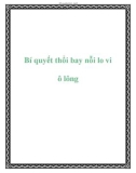 Bí quyết thổi bay nỗi lo vi ô lông