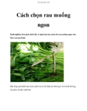 Cách chọn rau muống ngon