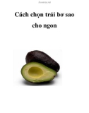 Cách chọn trái bơ sao cho ngon