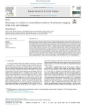 Natural gas as a barrier to sustainability transitions? A systematic mapping of the risks and challenges