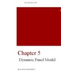 Bài giảng Phân tích số liệu mảng - Chương 5: Dynamic panel model