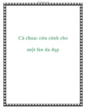 Cà chua: cứu cánh cho một làn da đẹp