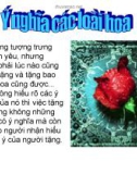 Ý NGHĨA CÁC LOẠI HOA