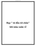 Đẹp từ đầu tới chân khi mùa xuân về