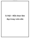 Lô hội – thần dược làm đẹp trong vườn nhà