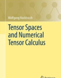 Ebook Tensor spaces and numerical tensor calculus: Part 1