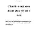 Tái chế vỏ chai nhựa thành chậu cây cảnh mini