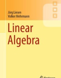 Ebook Linear algebra: Part 1 - Jörg Liesen, Volker Mehrmann