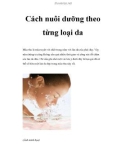 Cách nuôi dưỡng theo từng loại da