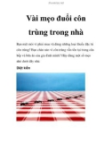 Vài mẹo đuổi côn trùng trong nhà