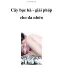 Cây bạc hà - giải pháp cho da nhờn