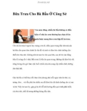 Bữa Trưa Cho Bà Bầu Ở Công Sở