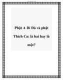 Phật A Di Đà và phật Thích Ca: là hai hay là một?