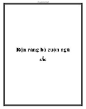 Rộn ràng bò cuộn ngũ sắc