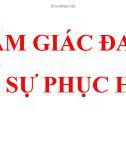 Bài giảng Cảm giá đau và sự phục hồi