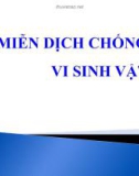 Bài giảng Miễn dịch - Bài: Miễn dịch chống vi sinh vật