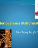 Bài giảng Arteriovenous Malformations - Trần Trọng Tài