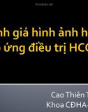 Bài giảng Đánh giá hình ảnh học đáp ứng điều trị HCC - Cao Thiên Tượng