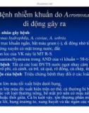 Bệnh học thủy sản : Bệnh do vi khuẩn part 1