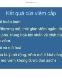 Bài giảng bệnh học viêm part 8