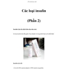 Các loại insulin (Phần 2)