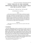 Some variants of the schnorr signature schema on the finite field and the elliptic curve