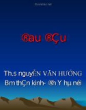 Bài giảng bộ môn thần kinh (Ths.Bs Nguyễn Văn Hướng) - Đau đầu