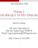 Bài giảng Toán kinh tế: Chương 1 - Nguyễn Phương