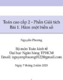 Bài giảng Toán cao cấp 2 (Phần Giải tích): Bài 1 - Nguyễn Phương