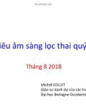 Bài giảng Siêu âm sàng lọc thai quý I - Đại học Bretagne Occidentale