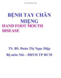 Bài giảng Bệnh tay chân miệng - TS.BS. Đoàn Thị Ngọc Diệp