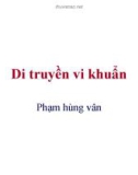 Di truyền vi khuẩn