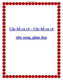 Cây bồ cu vẽ – Cây bồ cu vẽ tiêu sưng, giảm đau