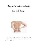 2 nguyên nhân chính gây đau thắt lưng