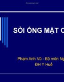 Bài giảng Sỏi ống mật chủ - Phạm Anh Vũ