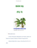 BÁN HẠ (Kỳ 3)