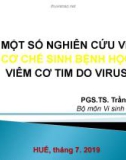 Bài giảng Một số nghiên cứu về cơ chế sinh bệnh học viêm cơ tim do virus - PGS.TS. Trần Đình Bình