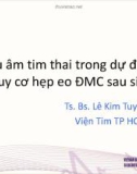 Siêu âm tim thai trong dự đoán nguy cơ hẹp eo động mạch chủ sau sinh - TS.BS. Lê Kim Tuyến