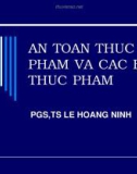 Bài giảng An oàn thực phẩm và các bệnh thực phẩm - PGS.TS. Lê Hoàng Ninh