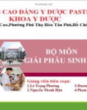 Bài giảng Giải phẫu sinh lý: Giải phẫu sinh lý hệ nội tiết