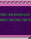 Bài giảng Siêu âm đánh giá khối u buồng trứng