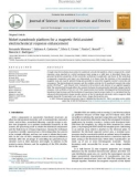 Nickel nanobrush platform for a magnetic field-assisted electrochemical response enhancement