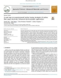 A road map on nanostructured surface tuning strategies of carbon fiber paper electrode: Enhanced electrocatalytic applications