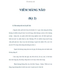 VIÊM MÀNG NÃO (Kỳ 2)