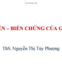 Bài giảng Gây mê hồi sức: Khám tiền mê và chuẩn bị bệnh nhân trước mổ - ThS.BS. Dương Thị Nhị