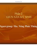 Bài giảng Phần 2: Giun sán kí sinh - Ths. Nông Phúc Thắng