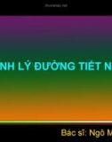 BỆNH LÝ ĐƯỜNG TIẾT NIỆU